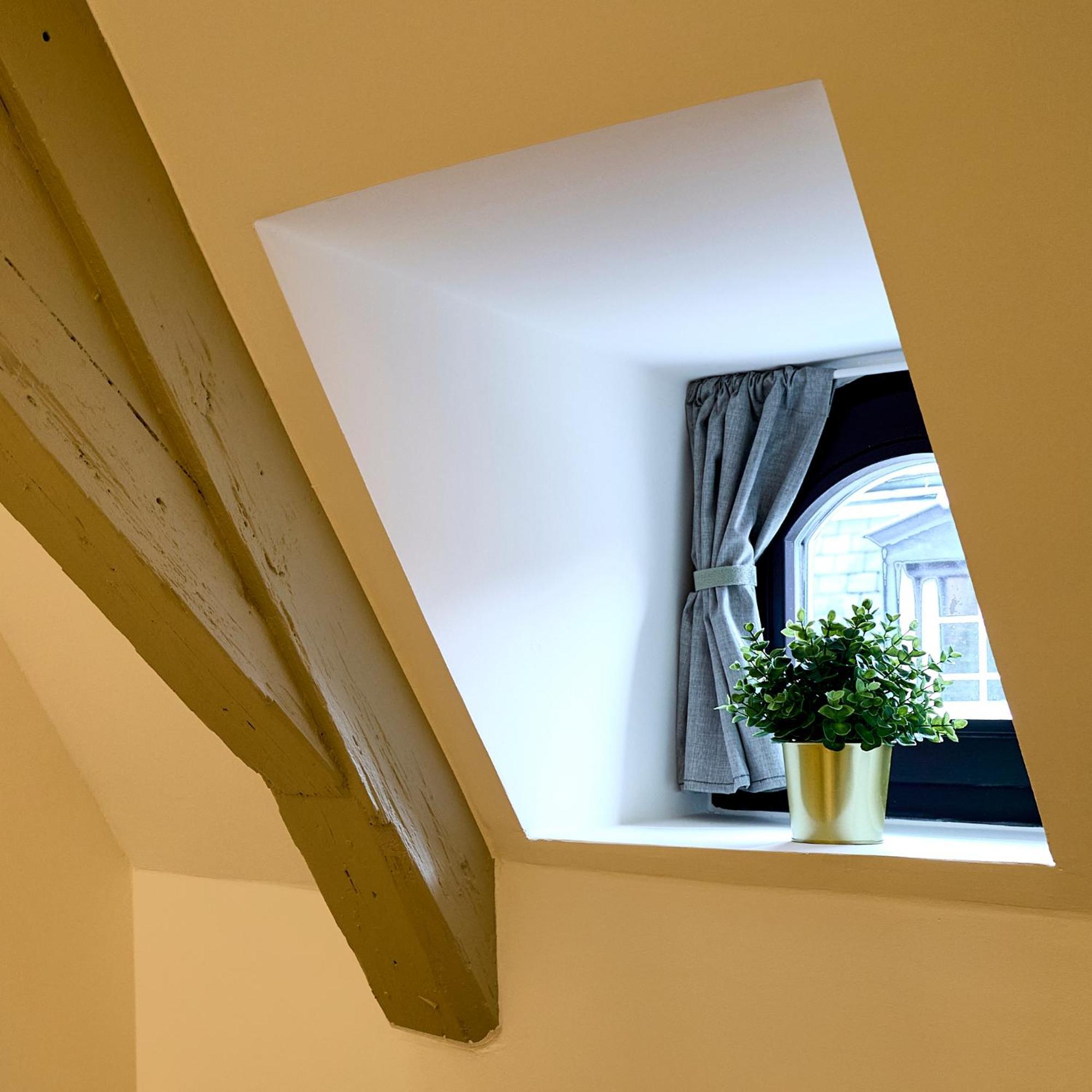 Le Salzmann Apartment Strasbourg Exterior photo
